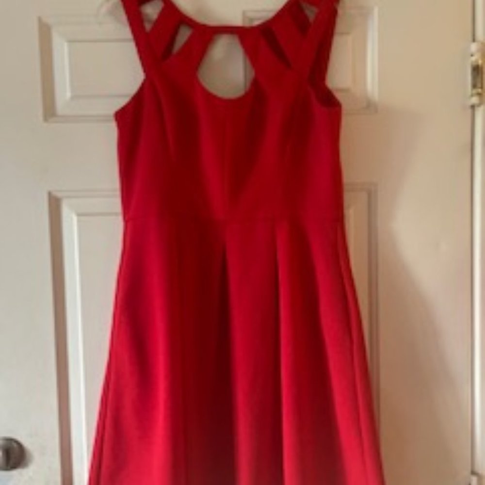 Betsy Johnson Flared Knit Dress